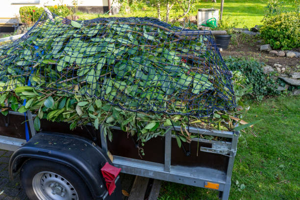 Best Yard Waste Removal  in Westminster, LA